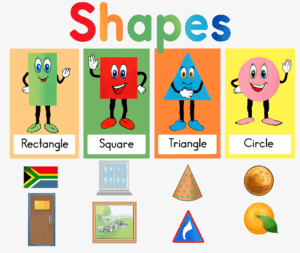 Shape Books