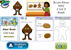Bruin Kleur NKR Ouderdom 2 tot 3 Boek
