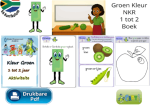 Groen Kleur NKR Ouderdom 1 tot 2 Boek
