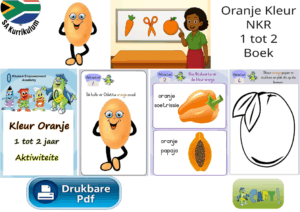 Oranje Kleur NKR Ouderdom 1 tot 2 Boek